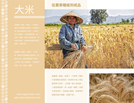 Editable brochures template:大米生產解說小冊子