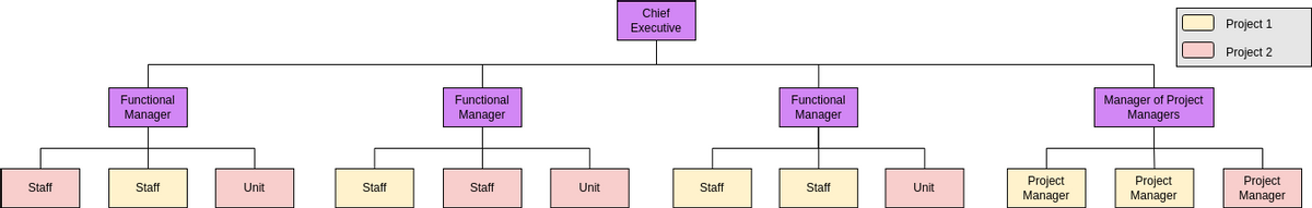 Organization Chart template: Matrix Organizational Template (Created by Visual Paradigm Online's Organization Chart maker)
