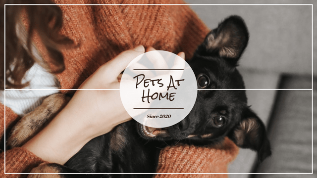 Editable youtubechannelarts template:Simple Pet Photo Pet Daily YouTube Channel Art