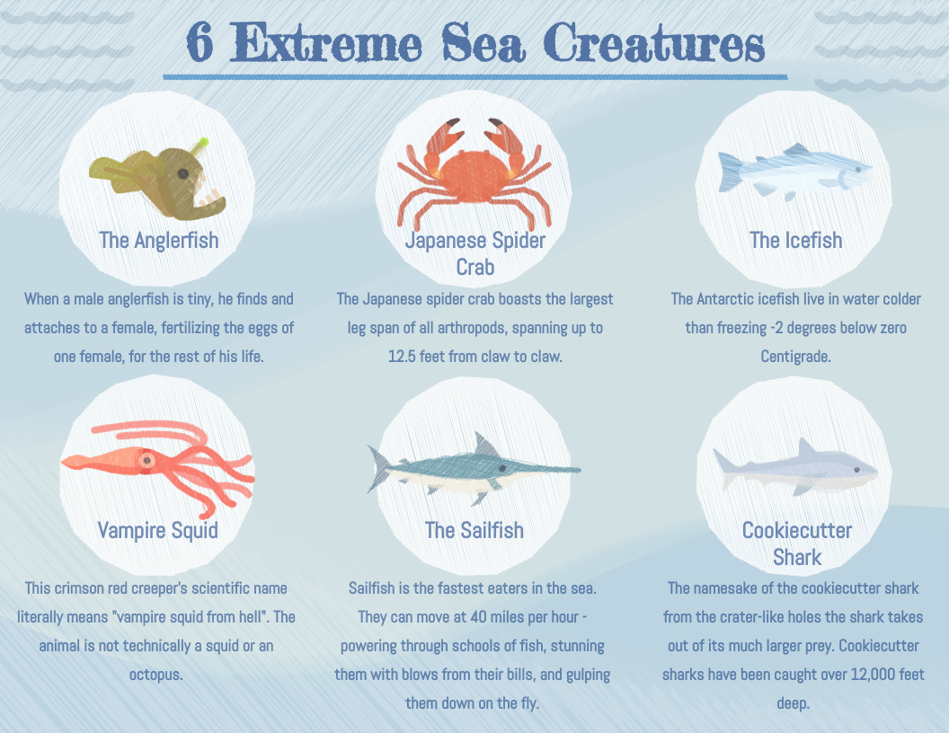 Infographic template: 6 Extreme Sea Creatures Infographic (Created by Visual Paradigm Online's Infographic maker)