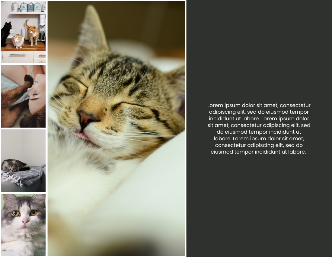 Holiday Moments With Pets Photo Book