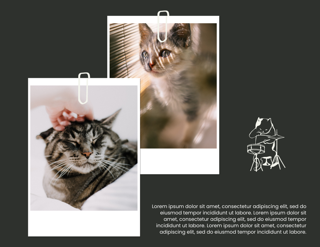 宠物照相簿 模板。Holiday Moments With Pets Photo Book (由 Visual Paradigm Online 的宠物照相簿软件制作)