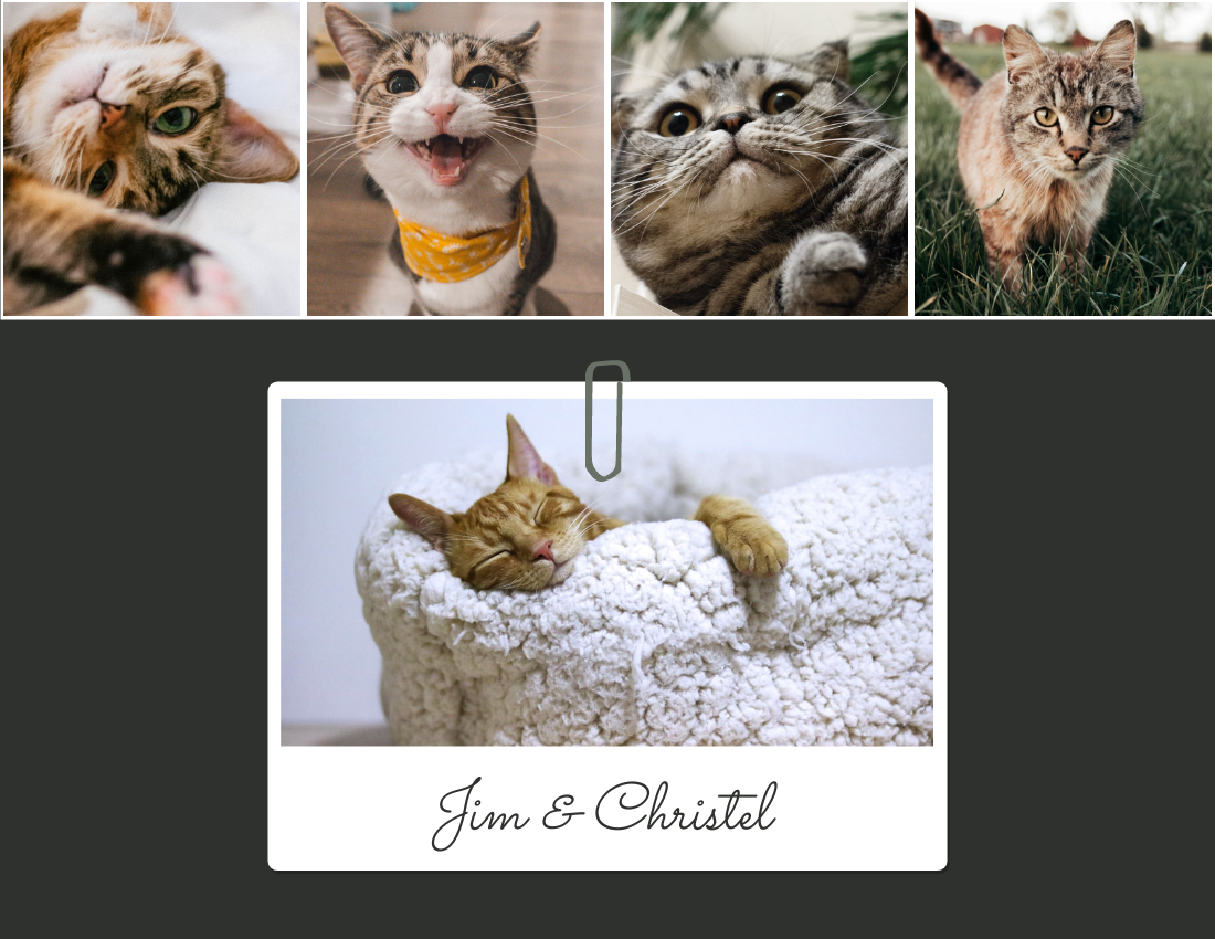 Pet Photo book template: Holiday Moments With Pets Photo Book (Created by Visual Paradigm Online's Pet Photo book maker)