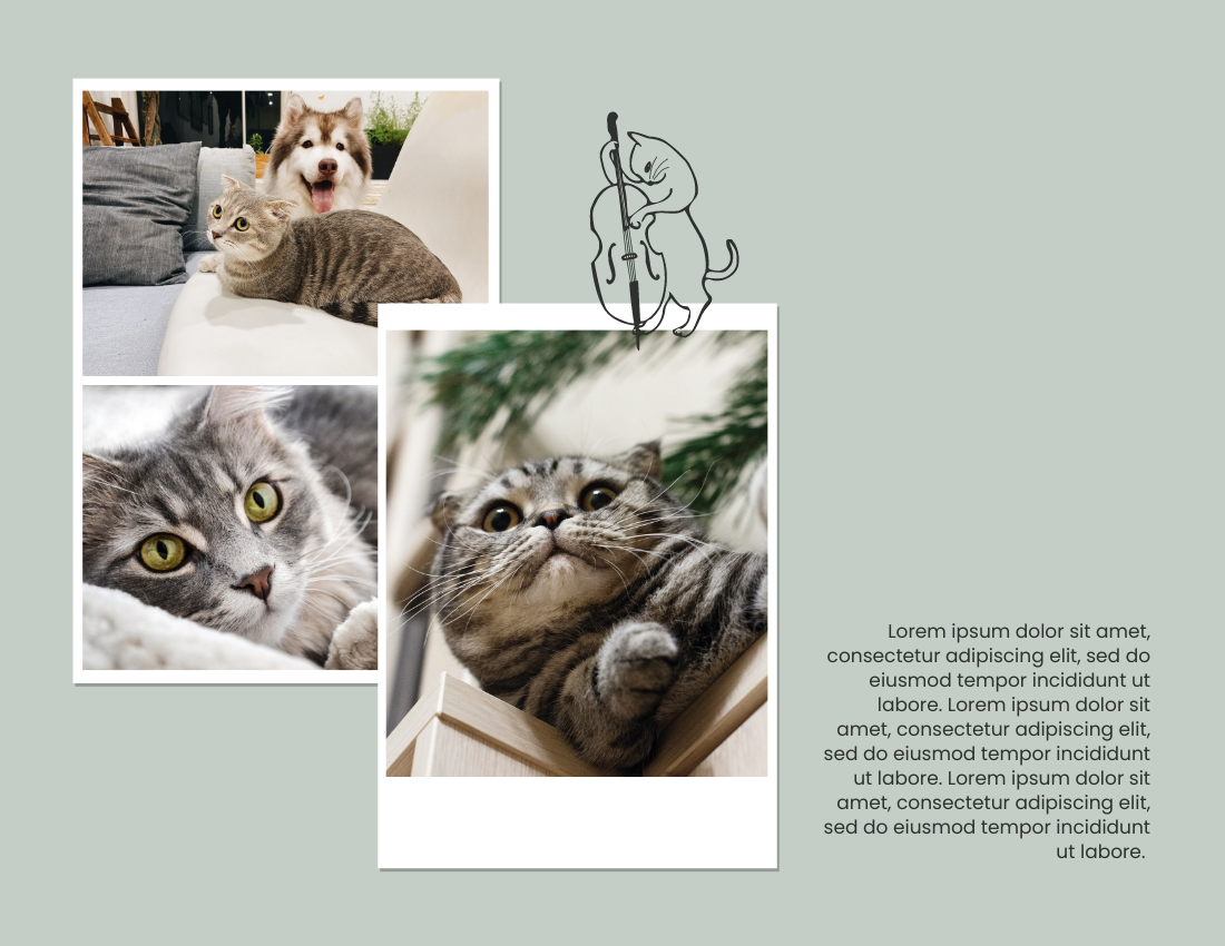 宠物照相簿 模板。Holiday Moments With Pets Photo Book (由 Visual Paradigm Online 的宠物照相簿软件制作)