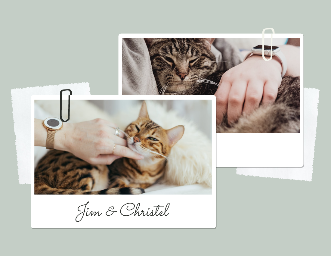 Pet Photo book template: Holiday Moments With Pets Photo Book (Created by PhotoBook's Pet Photo book maker)