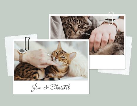 Pet Photo books template: Holiday Moments With Pets Photo Book (Created by Visual Paradigm Online's Pet Photo books maker)