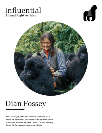 Biography 模板。 Dian Fossey Biography (由 Visual Paradigm Online 的Biography軟件製作)