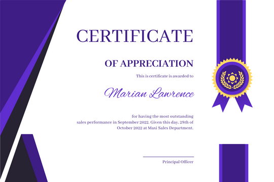 Certificate template: Meteorite Certificate Of Appreciation (Created by Visual Paradigm Online's Certificate maker)