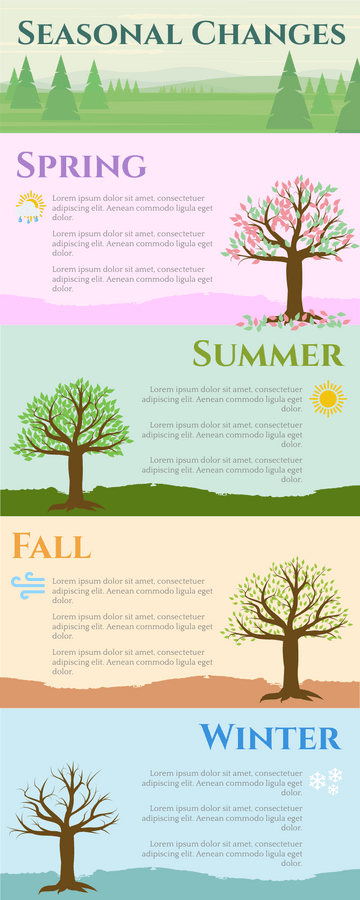 Editable infographics template:Seasonal Changes Infographic