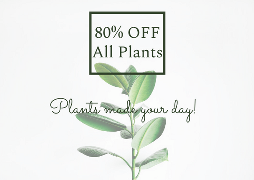 Plant Gift Card