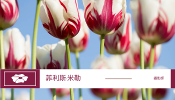 名片 模板。 粉色花卉照片背景攝影師名片 (由 Visual Paradigm Online 的名片軟件製作)