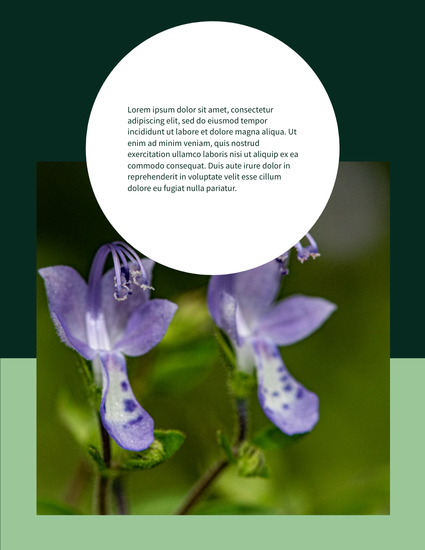 Booklet template: Latest Scientific Discoveries Booklet (Created by Flipbook's Booklet maker)