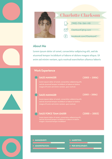 Resume template: Shape Resume (Created by Visual Paradigm Online's Resume maker)