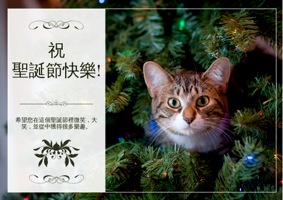 明信片 模板。 綠貓照片聖誕節慶祝活動明信片 (由 Visual Paradigm Online 的明信片軟件製作)