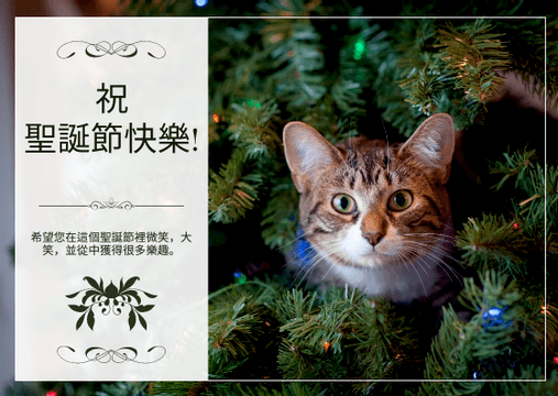 Editable postcards template:綠貓照片聖誕節慶祝活動明信片