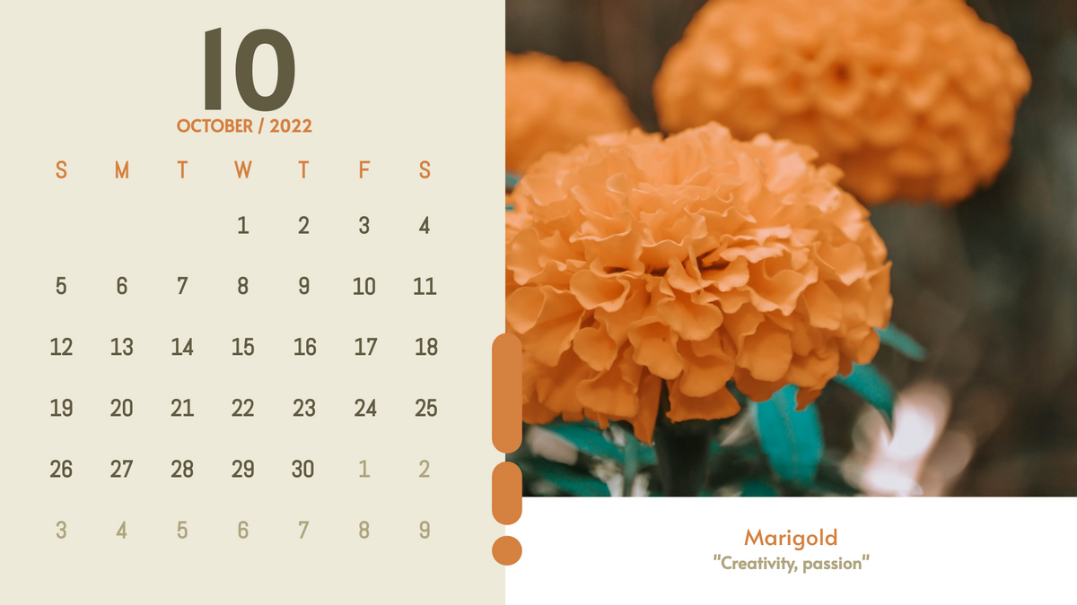 Calendar 模板。Classy Floral Calendar (由 Visual Paradigm Online 的Calendar软件制作)