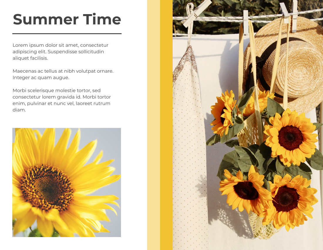 Summer Time Seasonal Photo Book