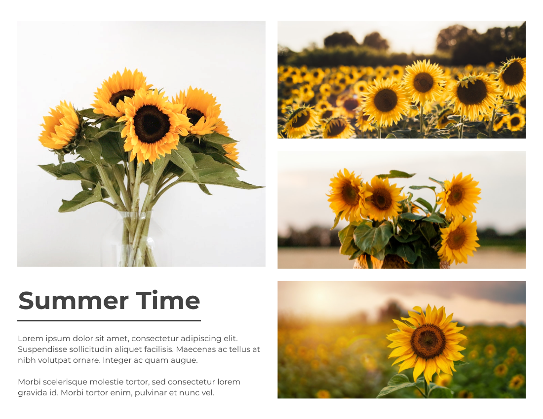季节性照相簿 模板。Summer Time Seasonal Photo Book (由 Visual Paradigm Online 的季节性照相簿软件制作)