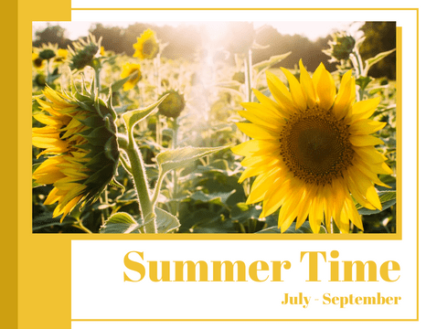 Seasonal Photo Books template: Summer Time Seasonal Photo Book (Created by Visual Paradigm Online's Seasonal Photo Books maker)