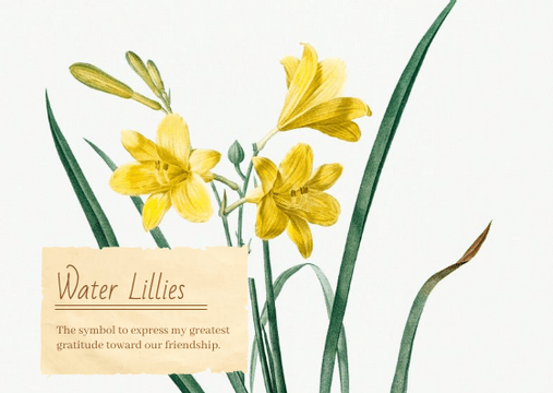 Postcards template: Flower Language Friendship Postcard (Created by Visual Paradigm Online's Postcards maker)