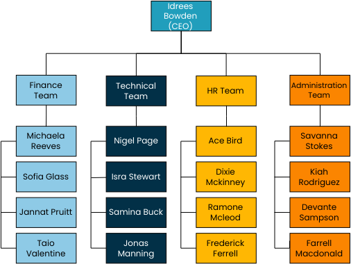 Company Team Organization Chart (Bagan Organisasi Example)