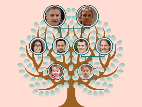 家庭樹 模板。 粉紅色圓形家族樹與背景 (由 Visual Paradigm Online 的家庭樹軟件製作)