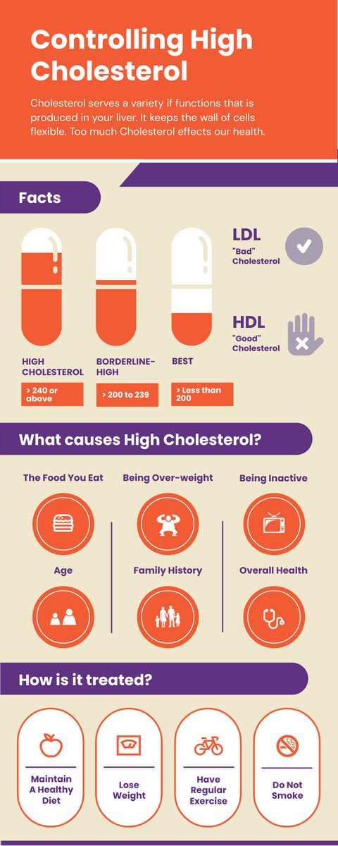 Infographic template: Controlling High Cholesterol Infographic (Created by Visual Paradigm Online's Infographic maker)