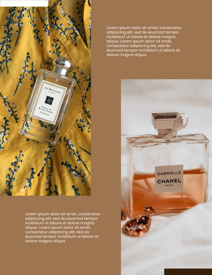 產品目錄 模板。 Perfume Catalog (由 Visual Paradigm Online 的產品目錄軟件製作)