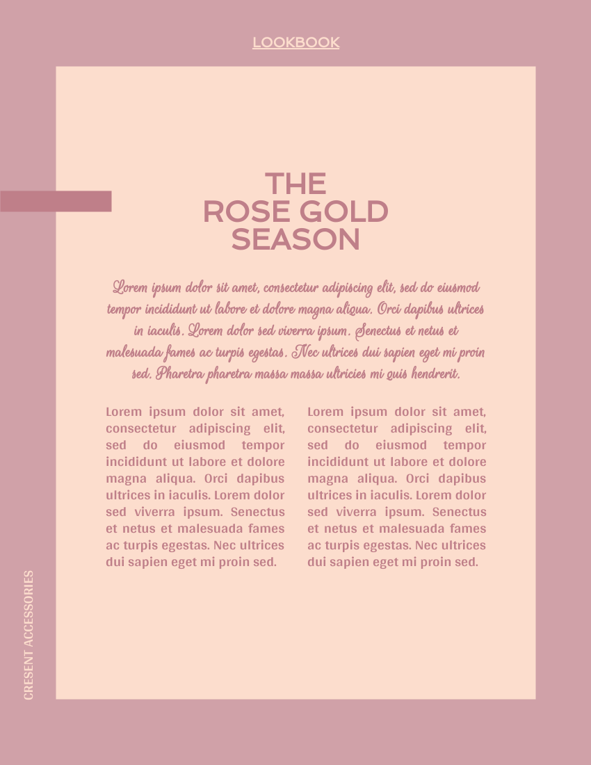 Lookbook 模板。 Rose Gold Jewelry Lookbook (由 Visual Paradigm Online 的Lookbook軟件製作)