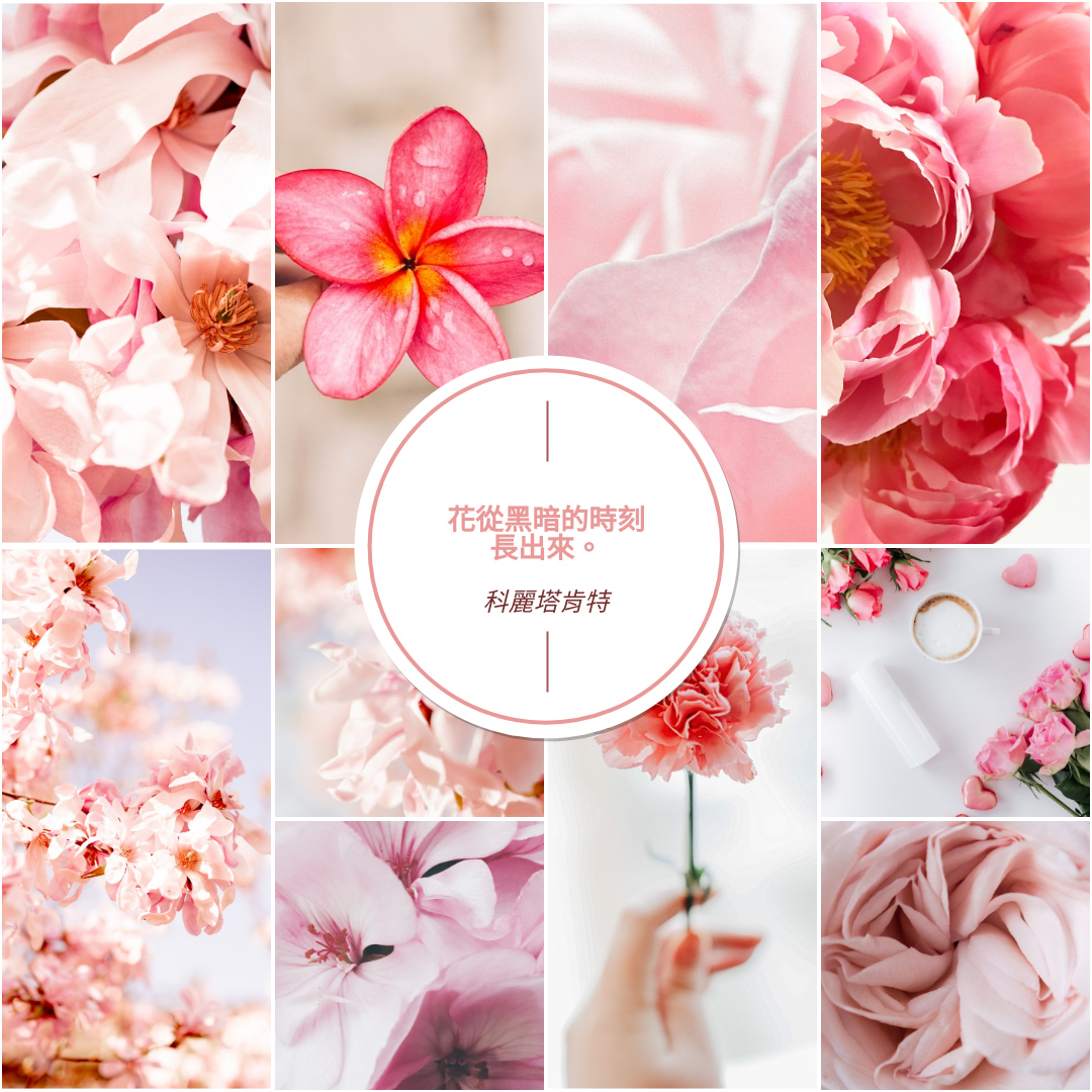 粉紅色的花朵綻放照片拼貼畫