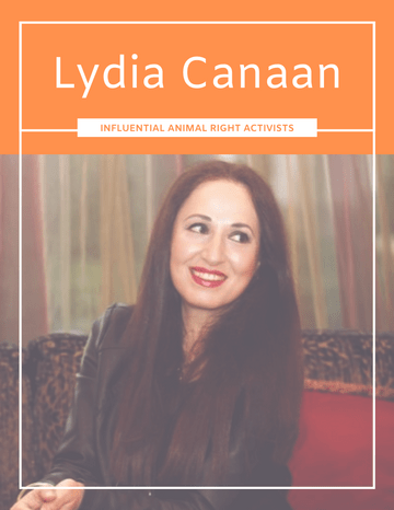 Biography template: Lydia Canaan Biography (Created by Visual Paradigm Online's Biography maker)