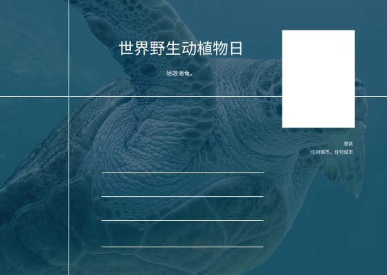 蓝海龟照片世界野生动物日明信片