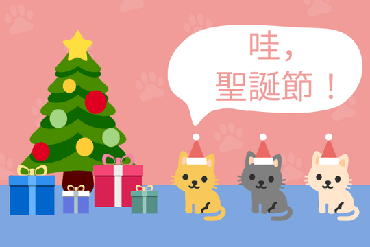 Editable greetingcards template:貓聖誕賀卡