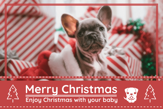 Editable greetingcards template:Merry Christmas With Pet Greeting Card