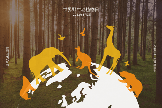 Editable greetingcards template:动物剪影世界野生动物日贺卡