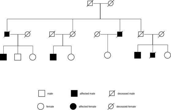 Pedigree Chart template: Pedigree Chart Example (Created by InfoART's Pedigree Chart marker)