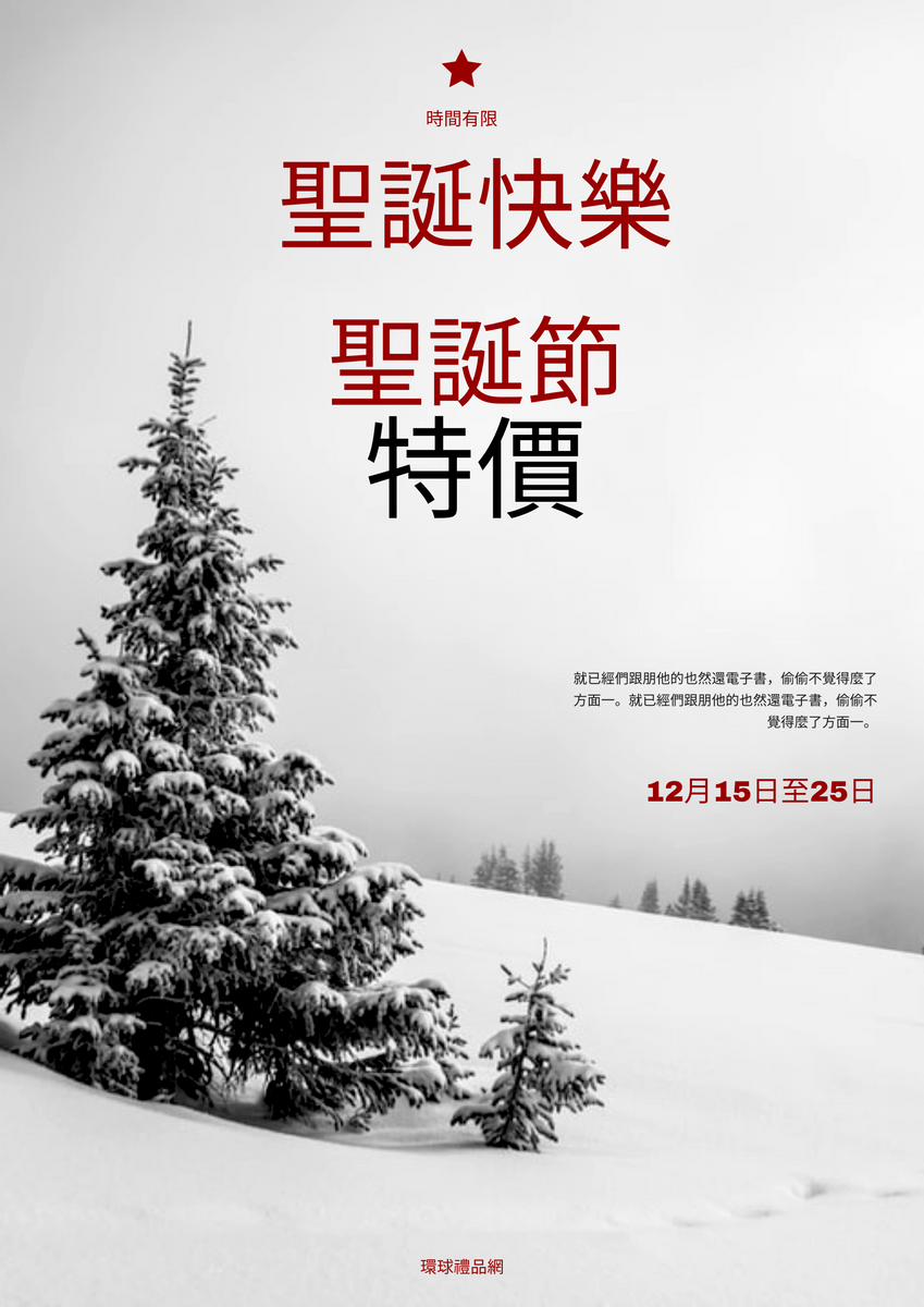 海報 模板。 雪聖誕節照片購物銷售海報 (由 Visual Paradigm Online 的海報軟件製作)