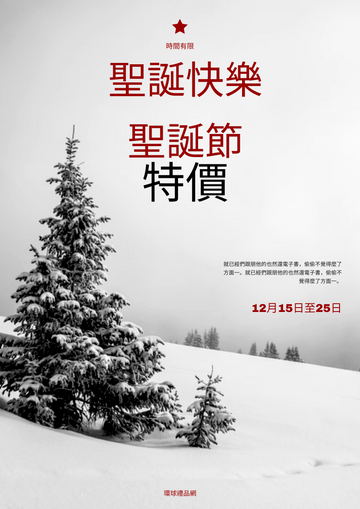 Editable posters template:雪聖誕節照片購物銷售海報