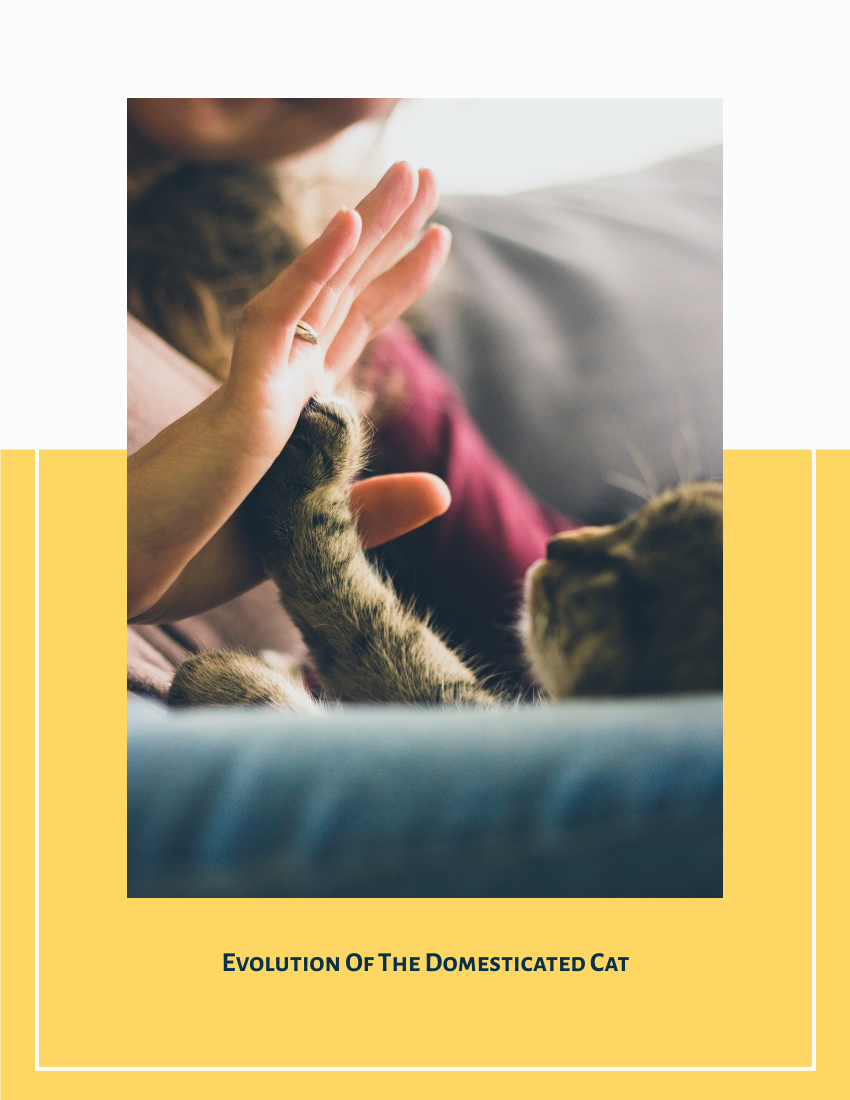小冊子 模板。 Evolution Of The Domesticated Cat Booklet (由 Visual Paradigm Online 的小冊子軟件製作)