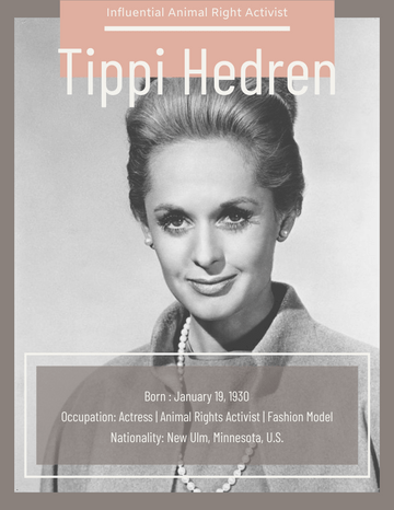 Biography 模板。 Tippi Hedren Biography (由 Visual Paradigm Online 的Biography軟件製作)