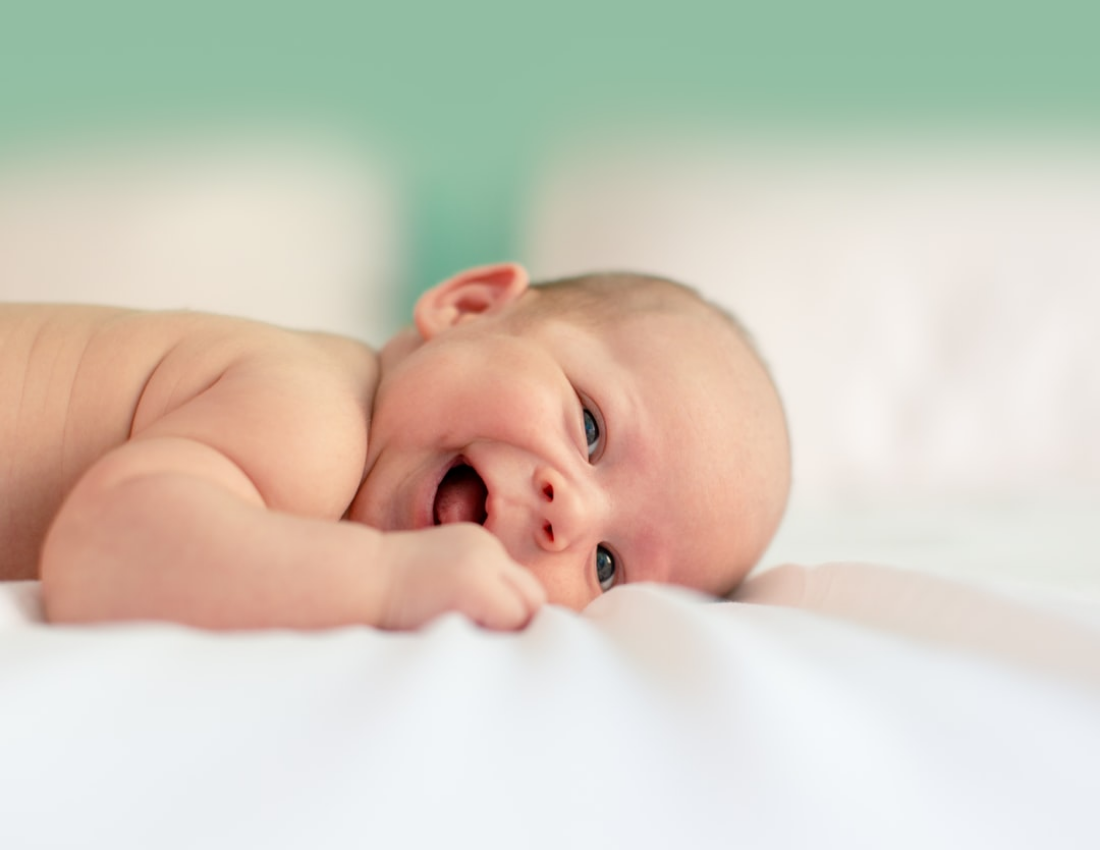 嬰兒照相簿 模板。 Welcome Baby Photo Book (由 Visual Paradigm Online 的嬰兒照相簿軟件製作)