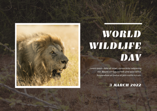 Postcard template: Brown Lion Photo World Wildlife Day Post Card (Created by InfoART's  marker)