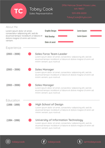 Resume template: Red Resume (Created by Visual Paradigm Online's Resume maker)
