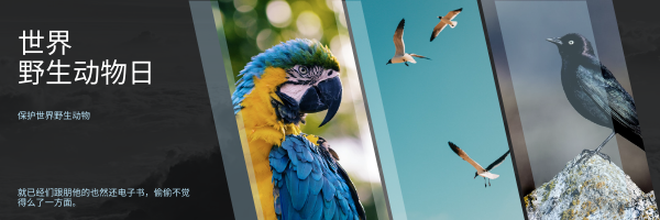 鳥照片 世界野生動物日電子郵件標頭