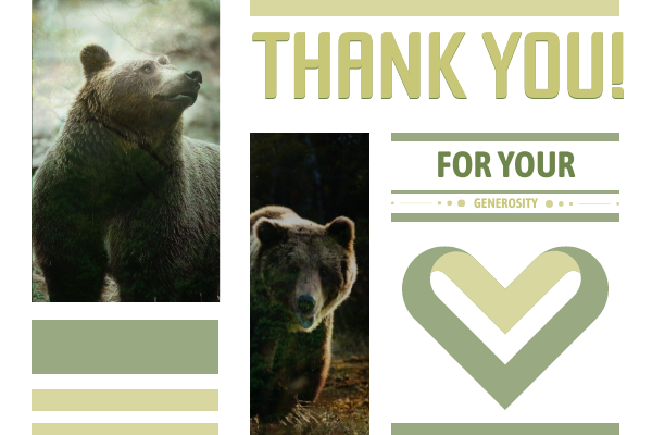 Greeting Card template: Donation Thank You Card (Created by Visual Paradigm Online's Greeting Card maker)