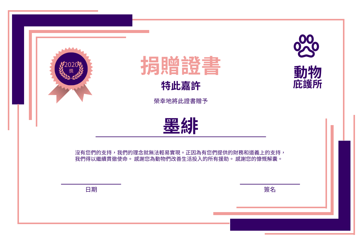 證書 模板。 粉色和紫色點綴捐贈證書 (由 Visual Paradigm Online 的證書軟件製作)