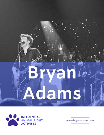 Biography 模板。Bryan Adams Biography (由 Visual Paradigm Online 的Biography软件制作)