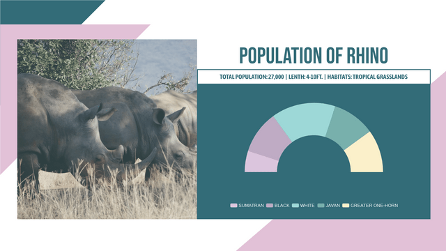 Semi Doughnut Charts template: Rhino Population Semi-Doughnut Chart (Created by Visual Paradigm Online's Semi Doughnut Charts maker)