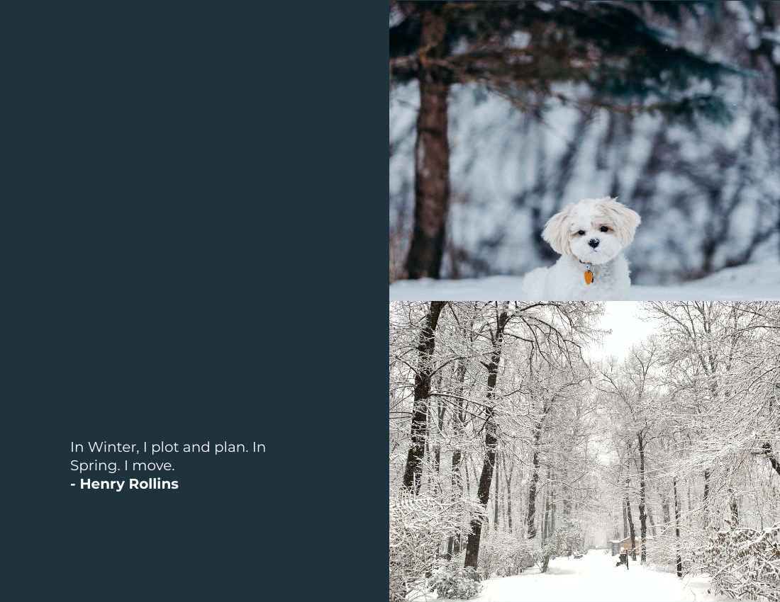 季節性照相簿 模板。 Winter Seasonal Photo Book (由 Visual Paradigm Online 的季節性照相簿軟件製作)