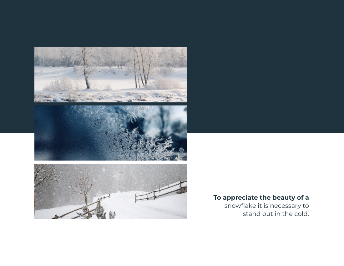 季节性照相簿 模板。Winter Seasonal Photo Book (由 Visual Paradigm Online 的季节性照相簿软件制作)